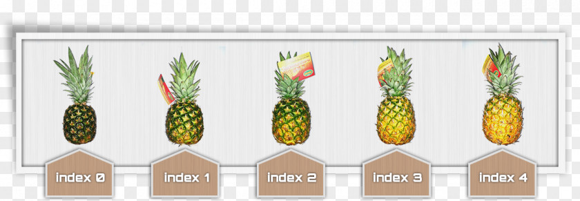 Colorful Pineapple Cut Flowers Vegetable Grasses PNG