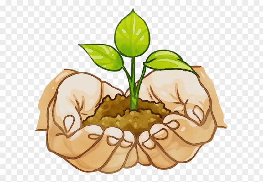 Plant Stem Soil Clip Art Flower PNG
