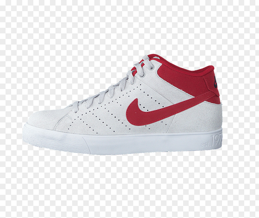 Sneakers Skate Shoe Sports Shoes Sportswear PNG