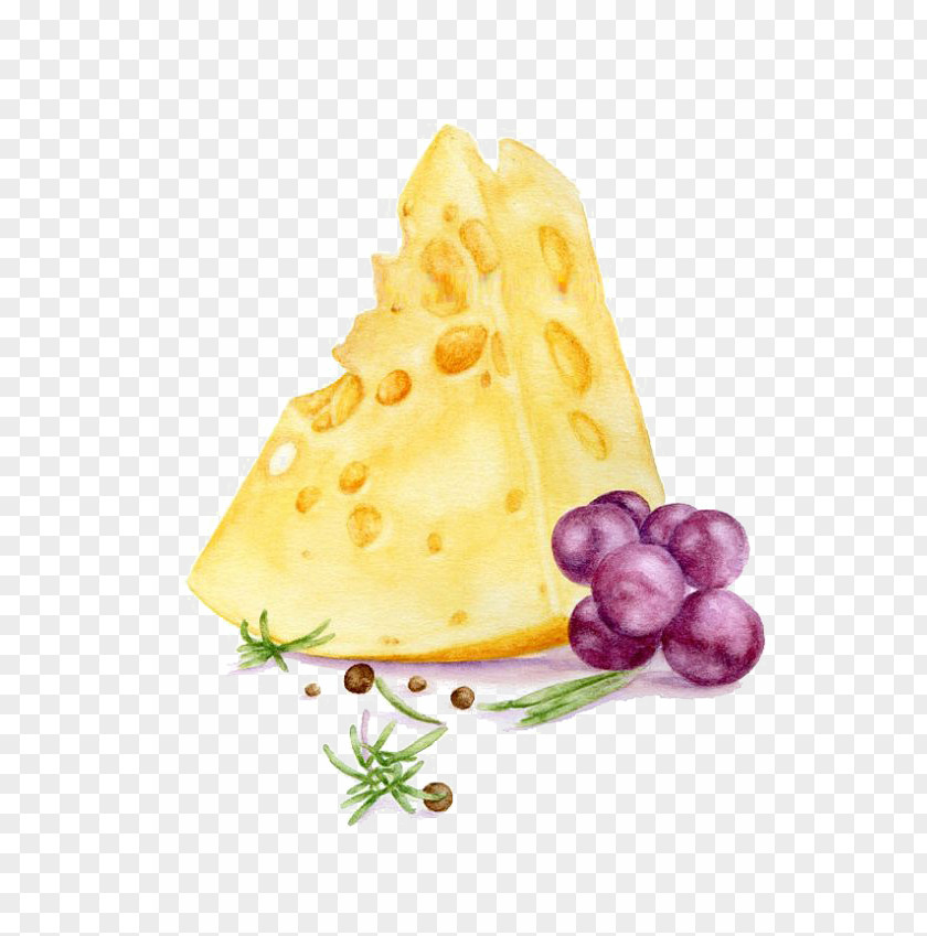 Cheese Watercolor Painting Art Printmaking Illustration PNG