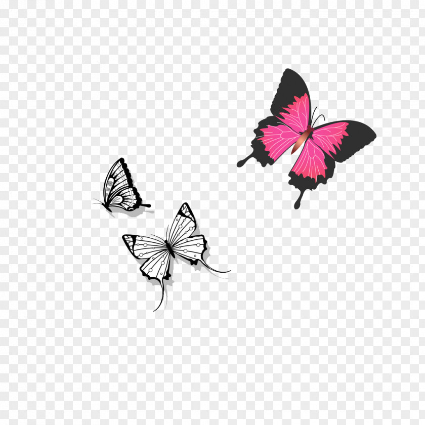 Creative Butterfly Grey Red PNG