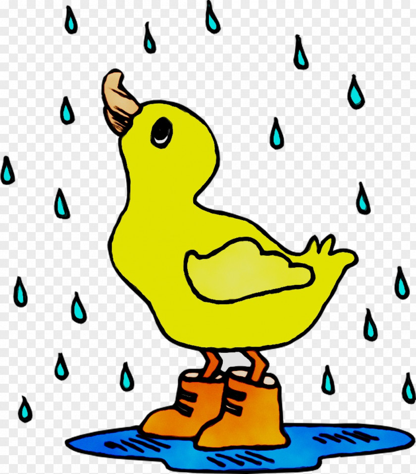 Drawing Rain Coloring Book Illustration Bird PNG