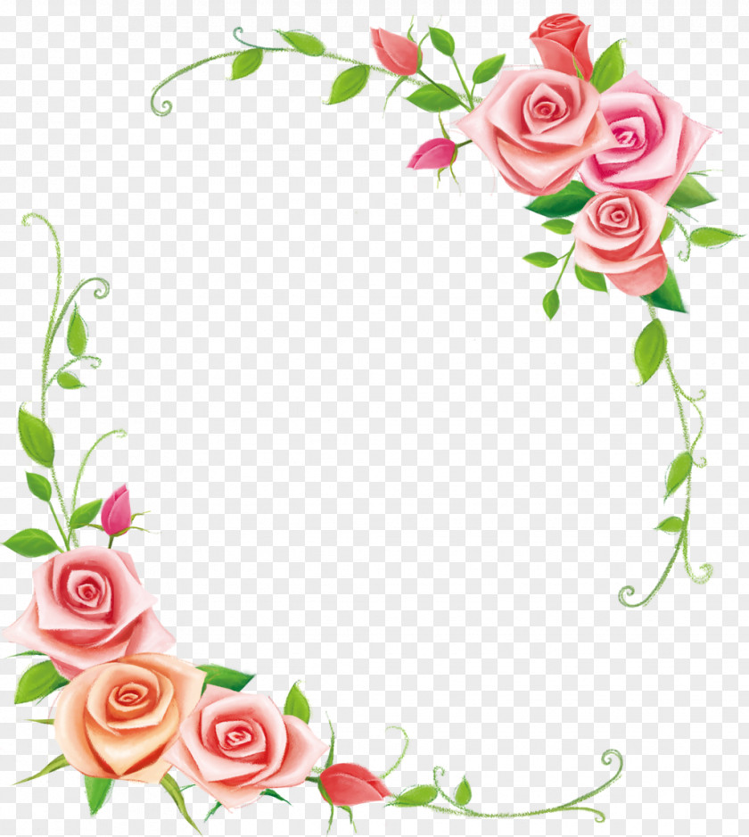 Flower Beach Rose Cut Flowers PNG