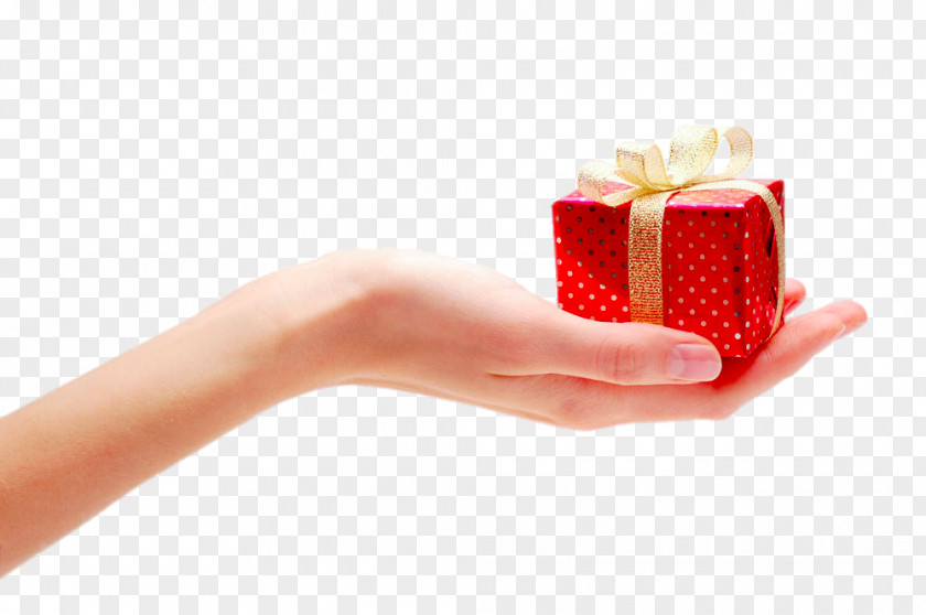 Hands Gift Hand Photography Royalty-free PNG