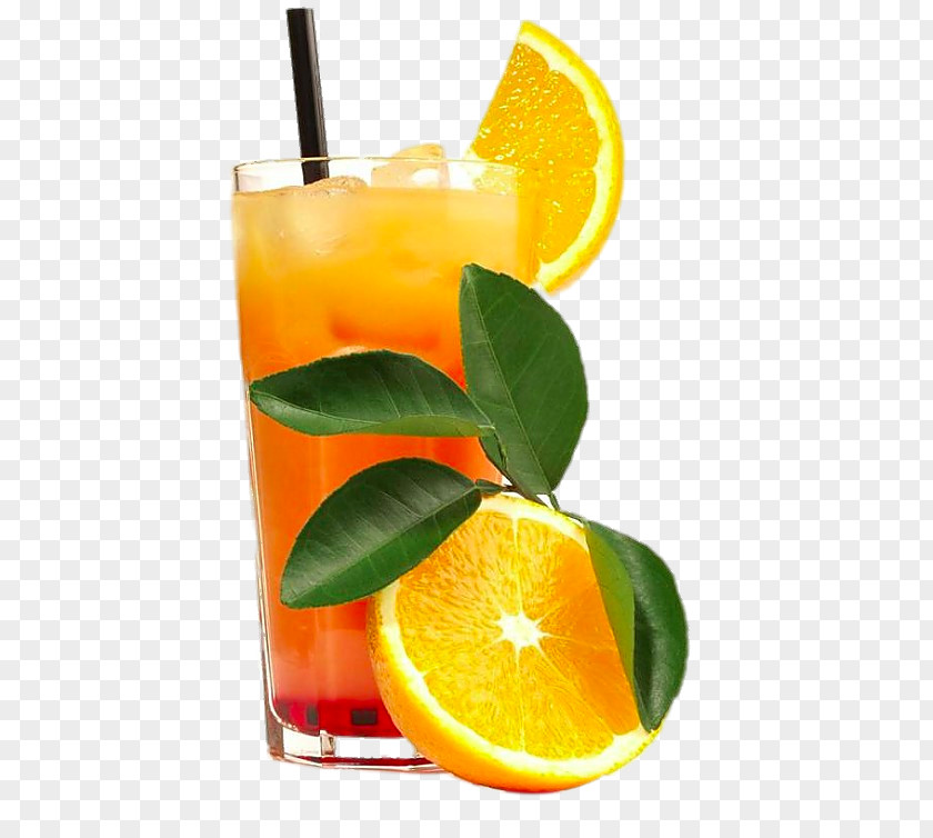 Orange Juice Cocktail Soft Drink Tequila Sunrise Rum PNG