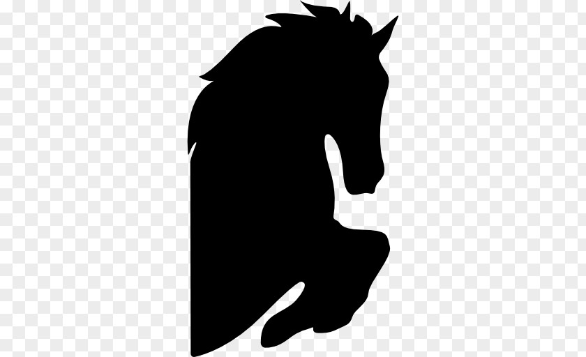 Silhouette American Paint Horse Clip Art PNG