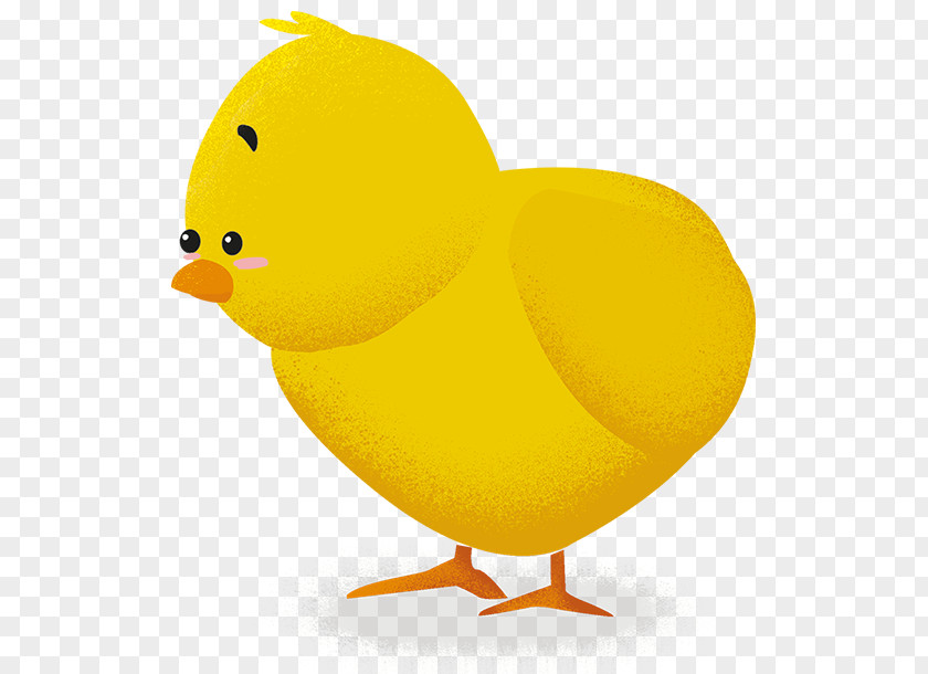 Duck Beak Chicken As Food Animated Cartoon PNG