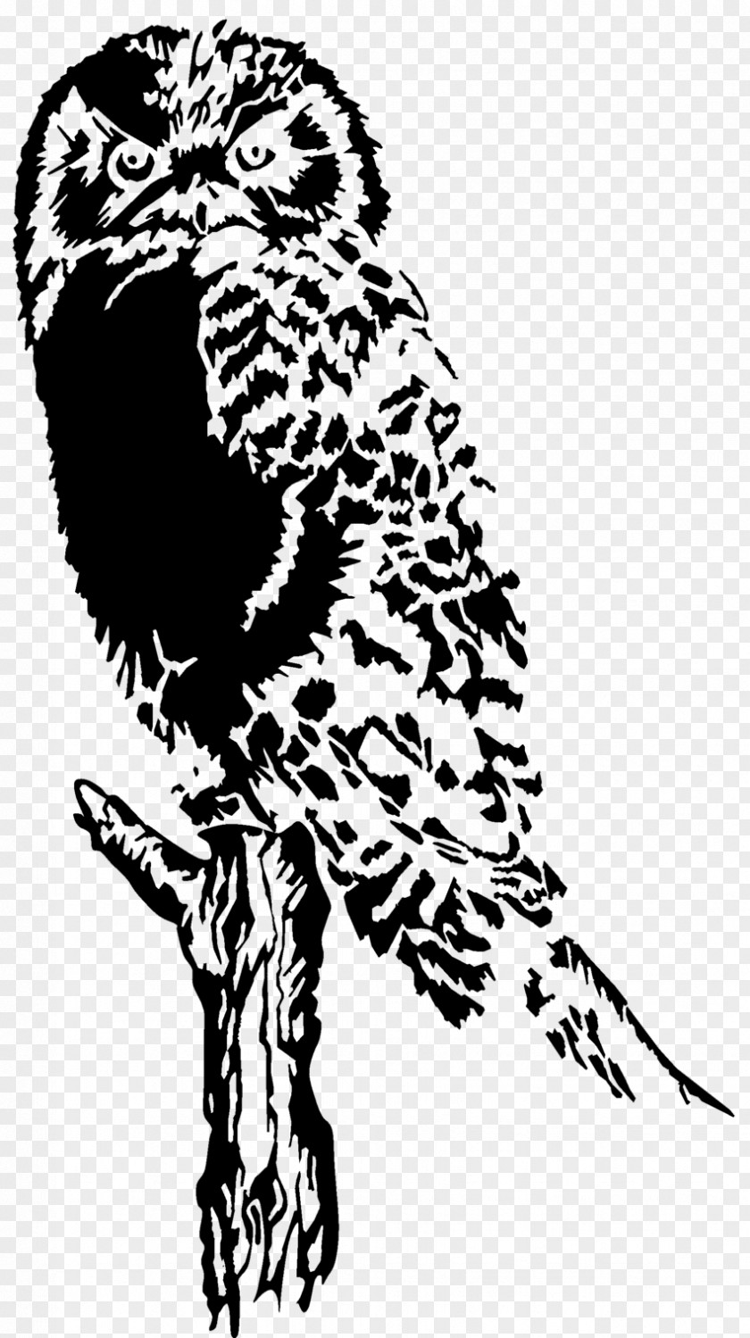 Owls Drawing Clip Art PNG