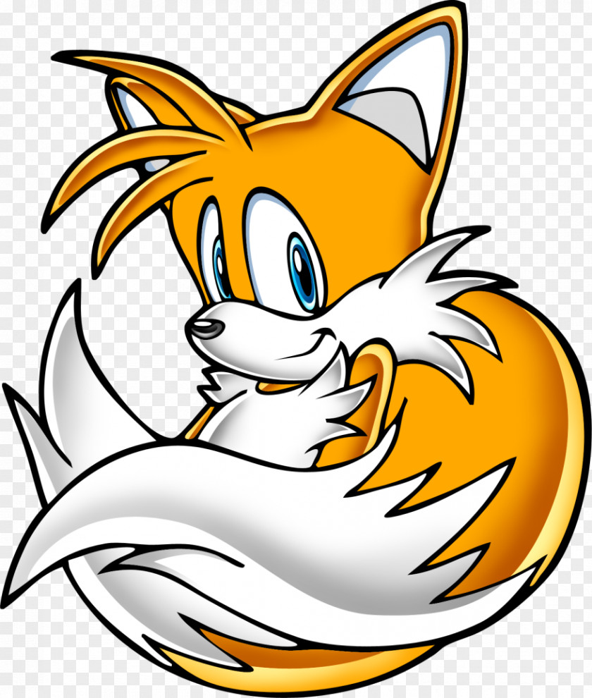Tails Knuckles The Echidna Amy Rose Sonic Adventure Ariciul PNG