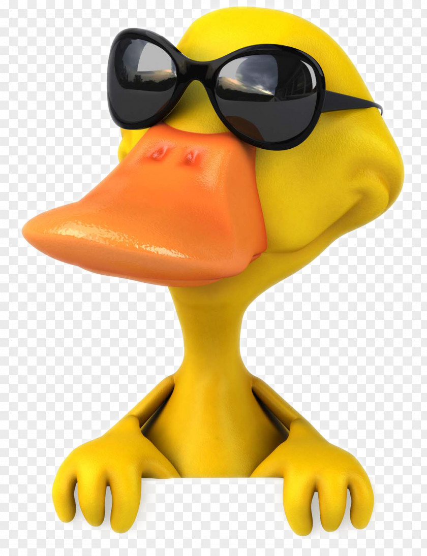 Cartoon Duck Pictures American Pekin Mallard Stock Photography Royalty-free PNG