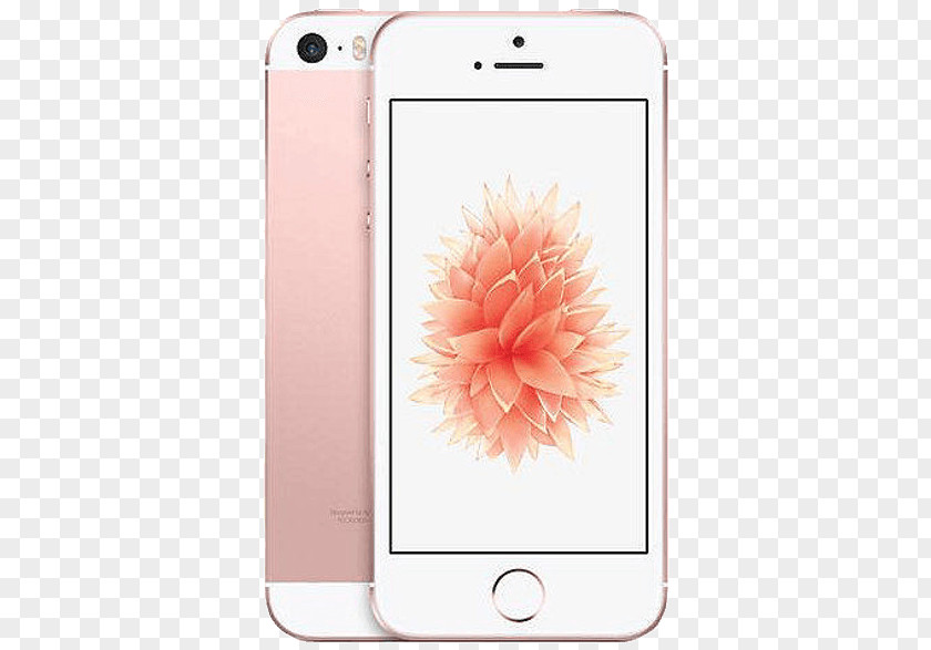 Rose IPhone 5s 8 6S Apple PNG
