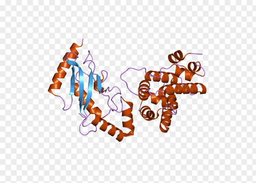 UBE2I Ubiquitin-conjugating Enzyme RANGAP1 Gene PNG