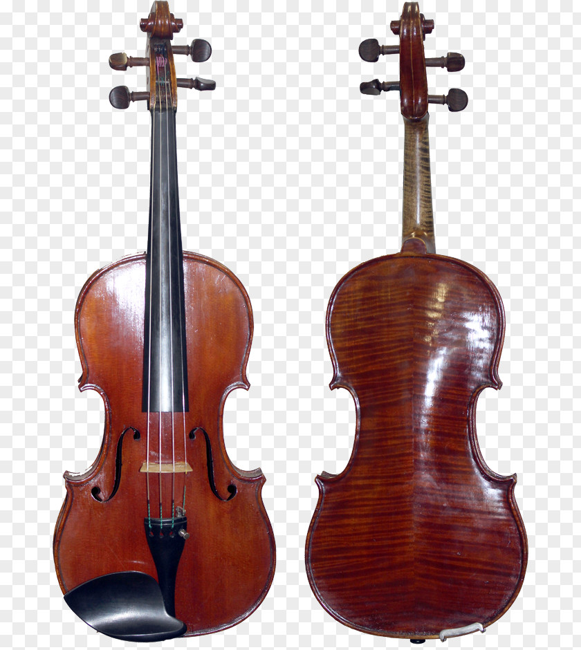 Violin Cremona Amati Guarneri Stradivarius PNG