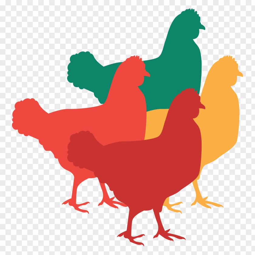 Chicken Rooster Food Clip Art PNG