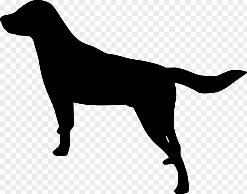 Dogs Labrador Retriever Puppy Clip Art PNG