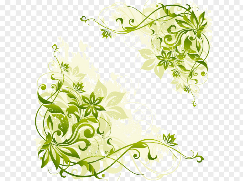 Elegant Green Background Drawing Pattern PNG