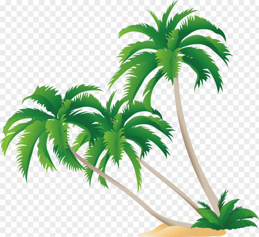 Green Coconut Tree Vector High-definition Video Display Resolution Wallpaper PNG