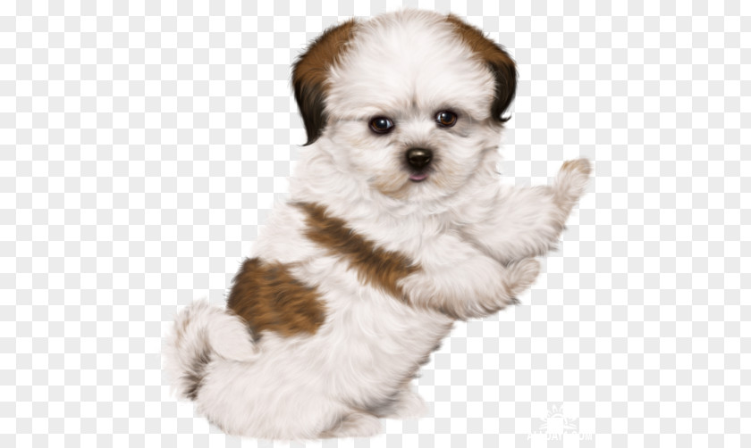 Puppy Dog Drawing Clip Art PNG