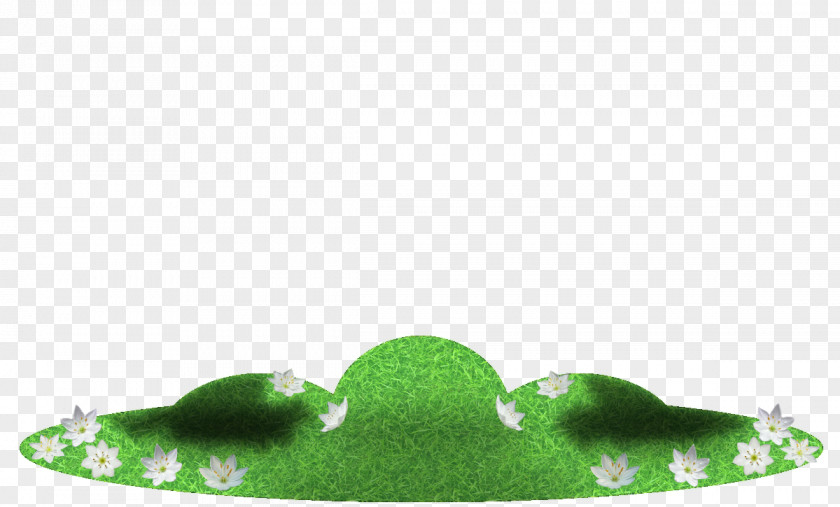 Supporters Green PNG