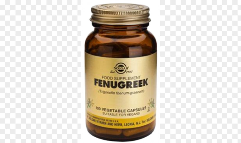 Vegetable Dietary Supplement Fenugreek Herb Extract PNG
