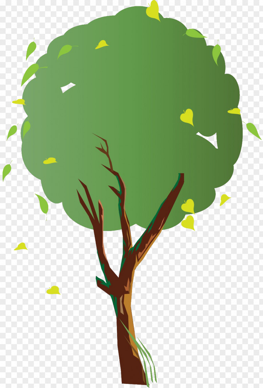 Autumn Tree Branch PNG