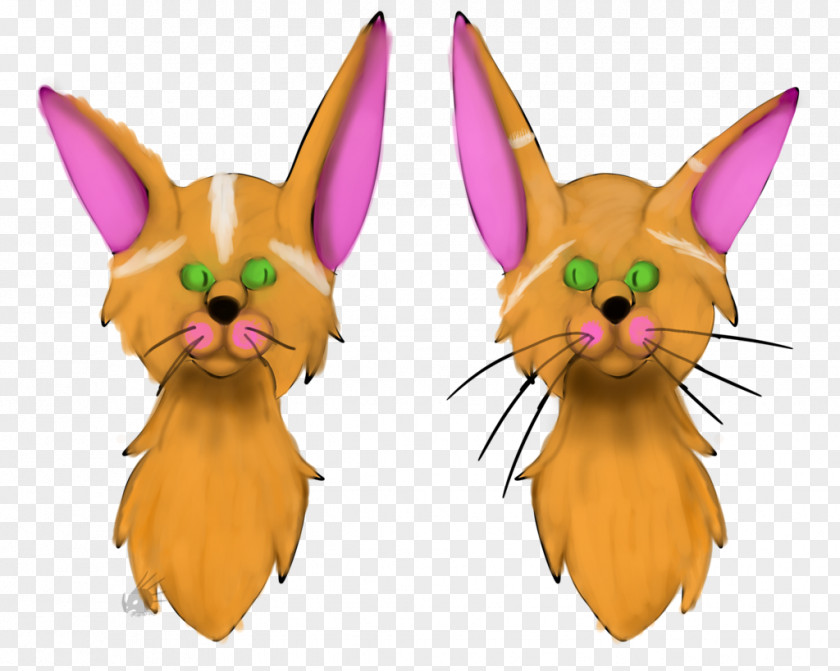 Dog Whiskers Easter Bunny Hare Rabbit PNG