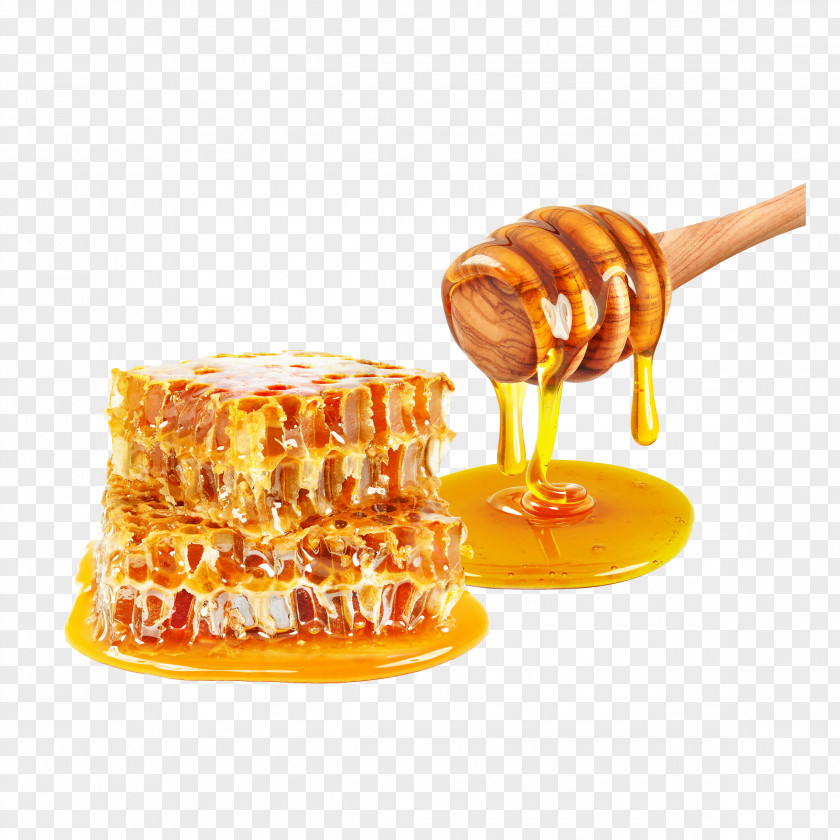Honey Gravy Honeycomb Dripping Food PNG