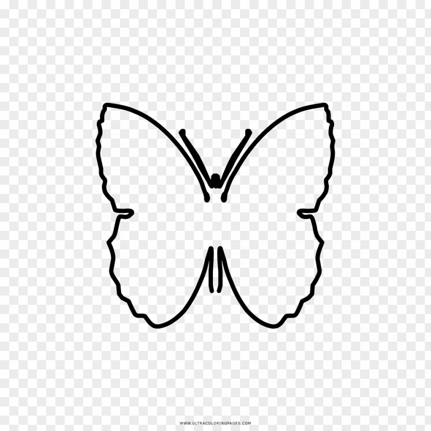 Butterfly Brush-footed Butterflies Drawing Coloring Book Black And White PNG