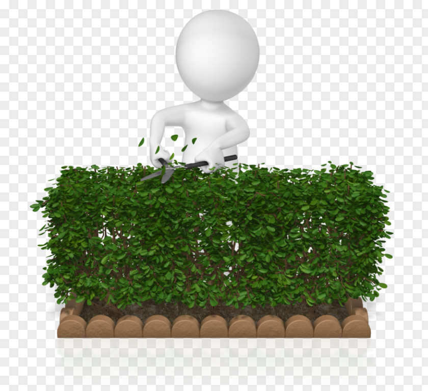 Hedges Streamer Hedge Fund GIF Animation Pruning PNG