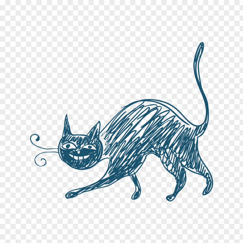 Line Cat Kitten Tabby Whiskers Illustration PNG
