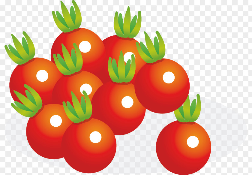 Persimmon Vector Material Cherry Tomato Juice Vegetable Fruit PNG