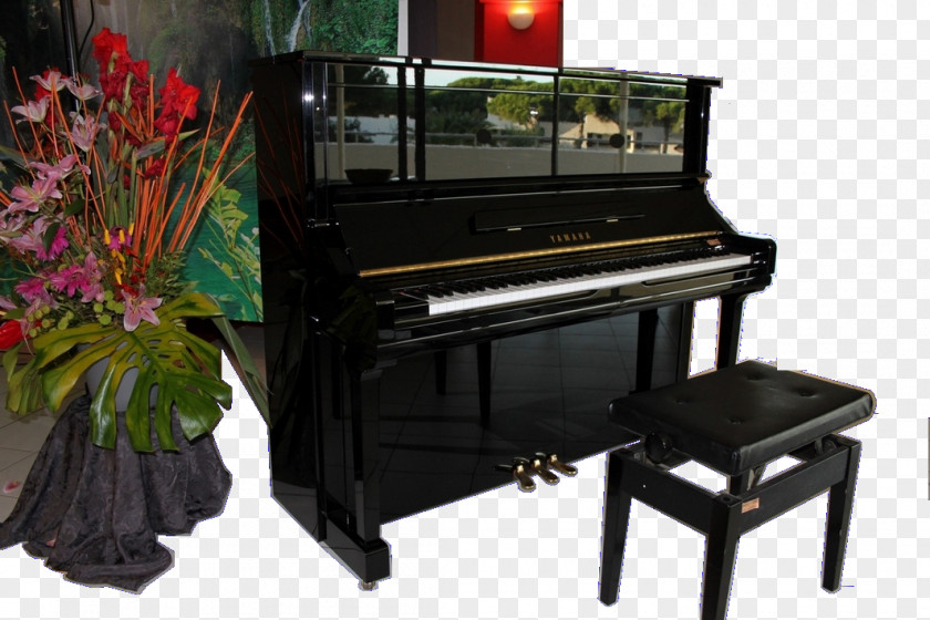 Piano Performances Digital Electric Player Spinet Musical Keyboard PNG