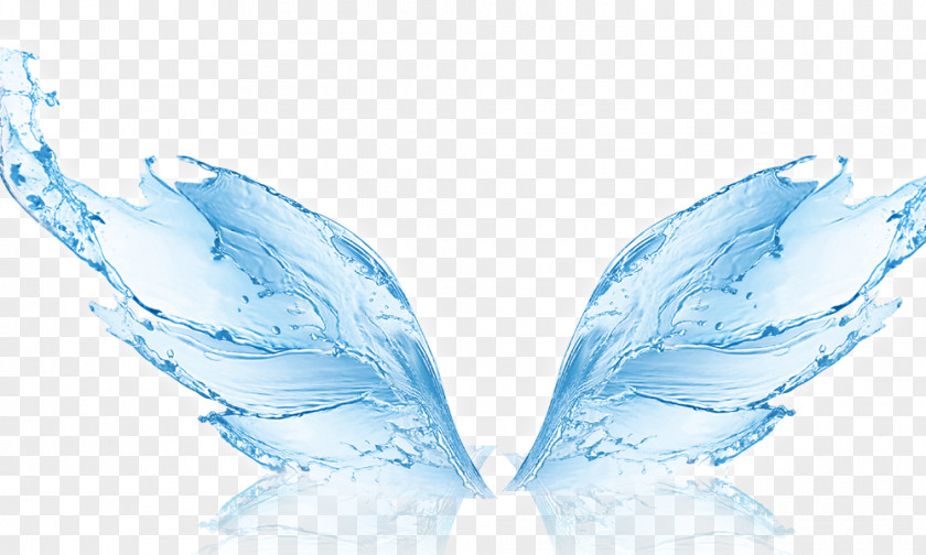 Shape Water Wings Filter Humidifier Membrane Reverse Osmosis PNG