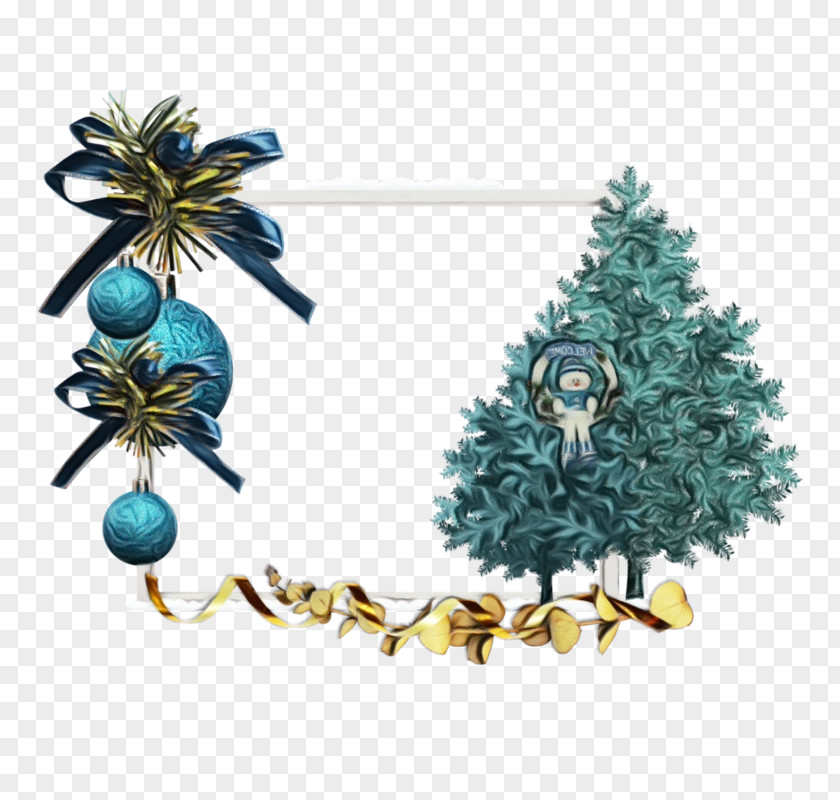 Spruce Cypress Family Christmas Tree Branch PNG