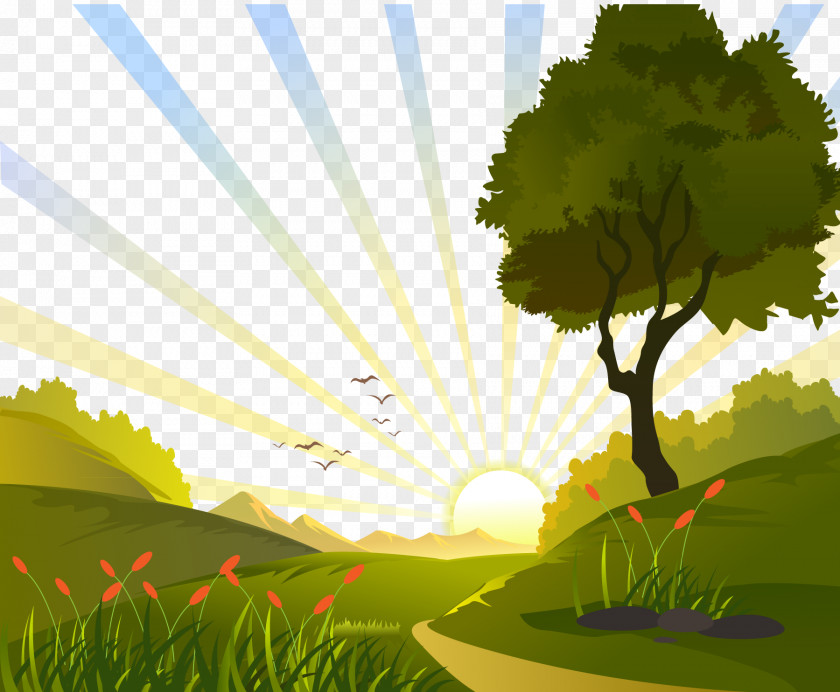 Sunrise In The Field Vector Illustration Euclidean Clip Art PNG