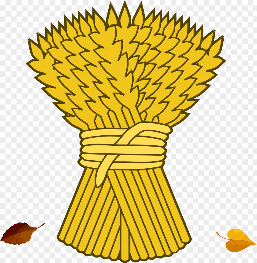 Thanksgiving Harvest PNG