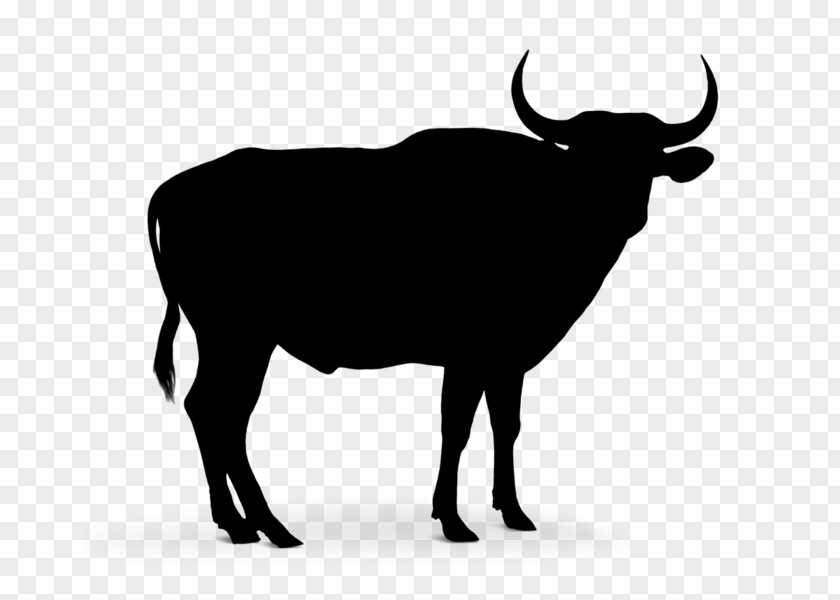 Cattle Vector Graphics Clip Art Silhouette Royalty-free PNG