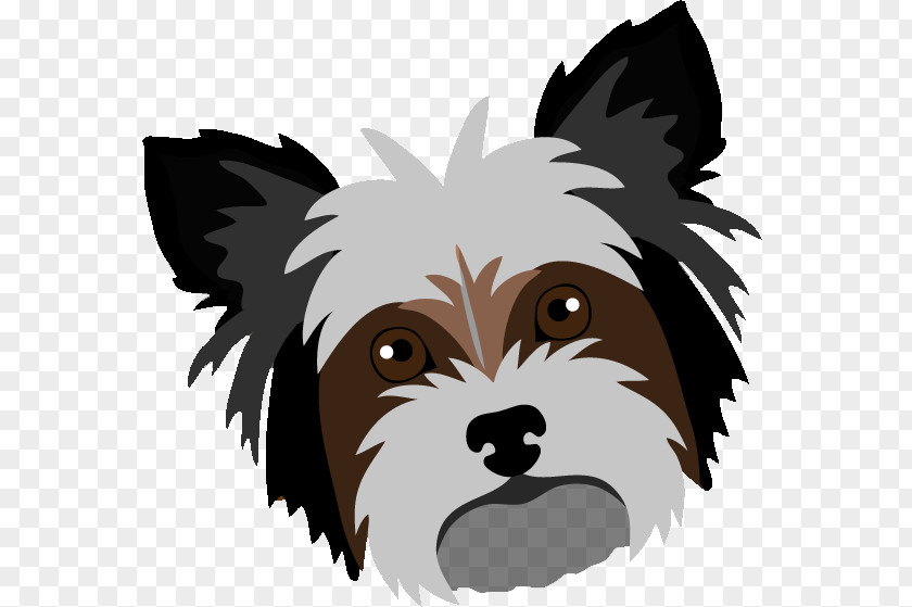 Cute Shih Tzu Yorkshire Terrier Cairn Puppy Dog Breed PNG