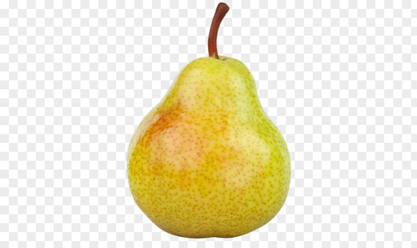 Pear Drawing Food Line PNG