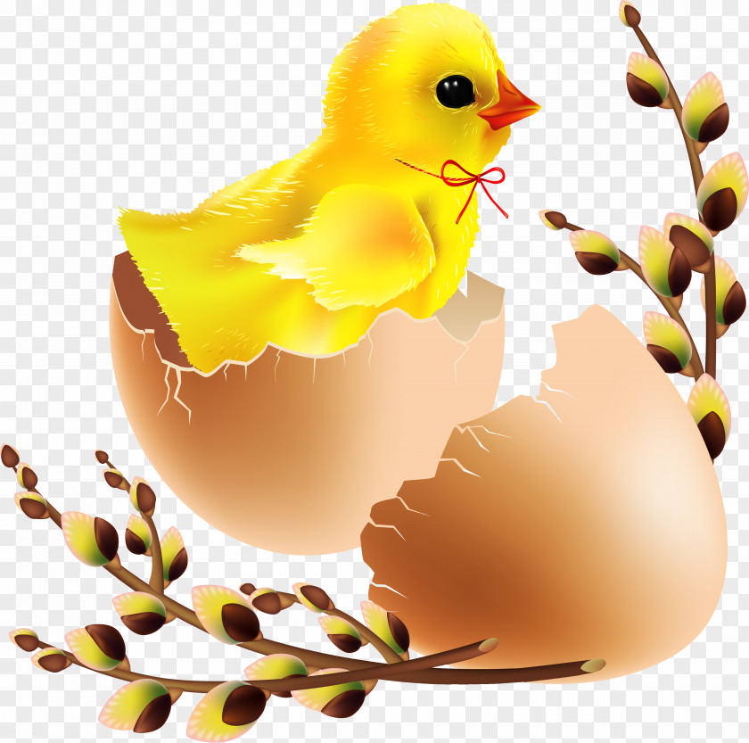 Royalty-free Clip Art PNG