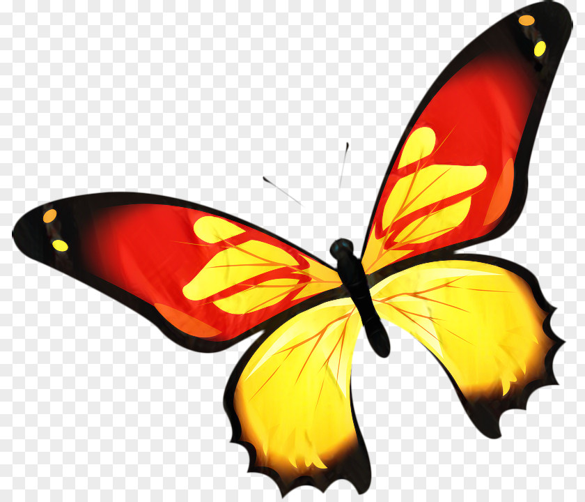Wing Brushfooted Butterfly Tiger Cartoon PNG