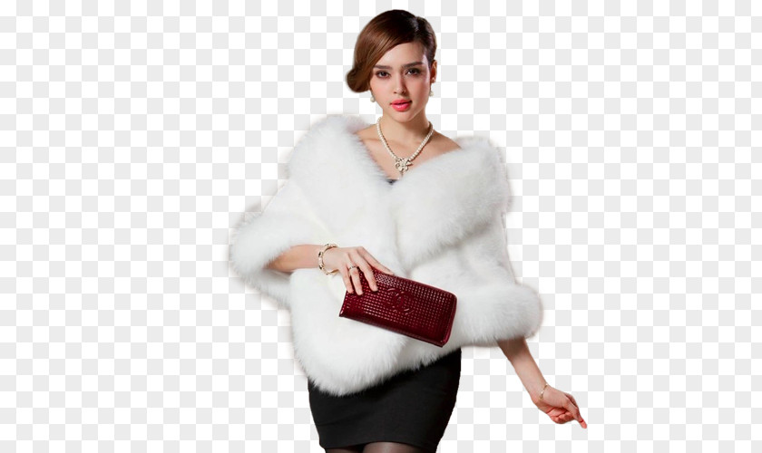 Dress Fur Clothing Scarf Shawl Coat PNG