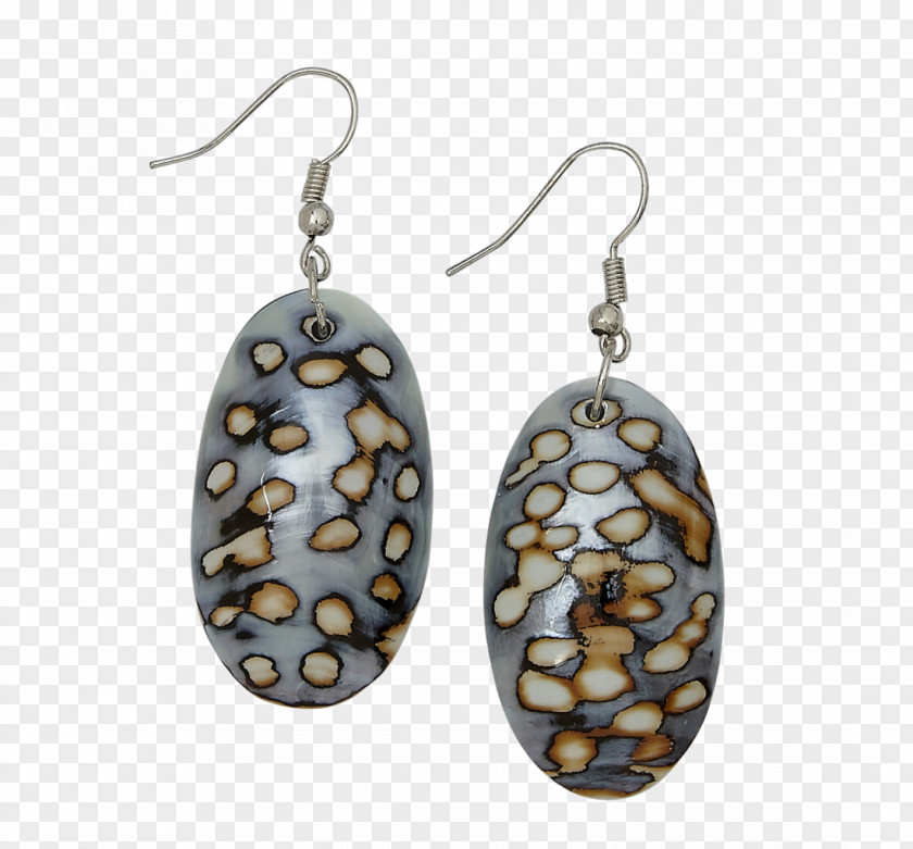 Hand Painted Shells Earring Shell Jewelry Jewellery Clothing Accessories Necklace PNG