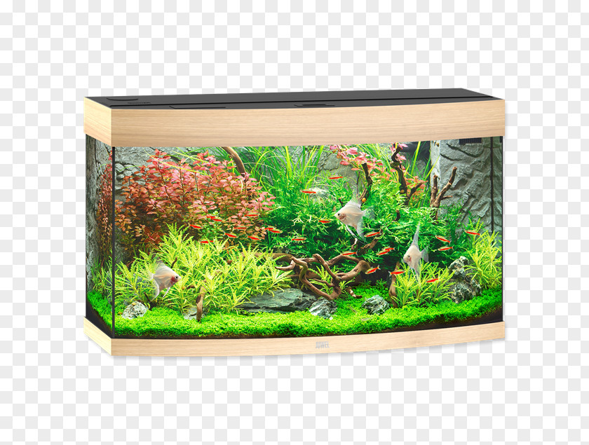 Light Aquarium Juwel Modell Rio 180 Led Akvarie L Med Led-armatur JUWEL 240 LED Cabinet Vision PNG
