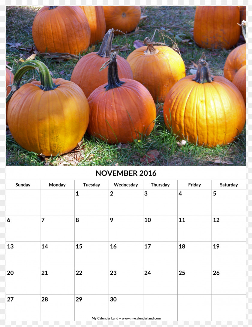 November Calendar New Hampshire Pumpkin Festival Autumn Cucurbita Pepo Jack-o'-lantern PNG