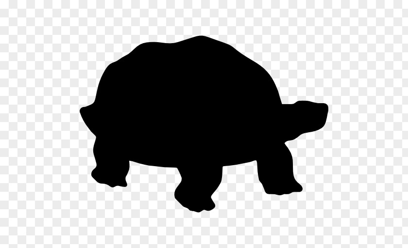 Turtle Reptile Silhouette Tortoise PNG