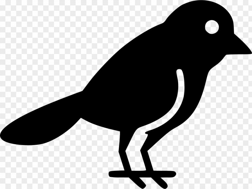 White Bird Icon Beak Clip Art Fauna Silhouette Wildlife PNG