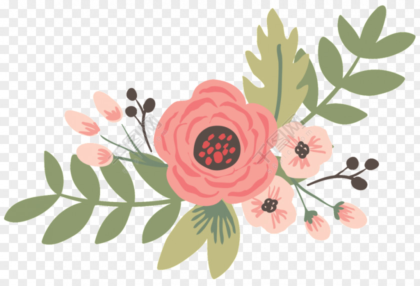 Advice Ornament Wedding Vector Graphics Image Garden Roses Psd PNG