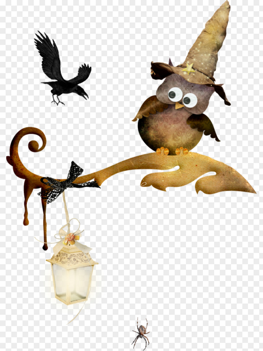 Halloween Drawing Owl Raven PNG