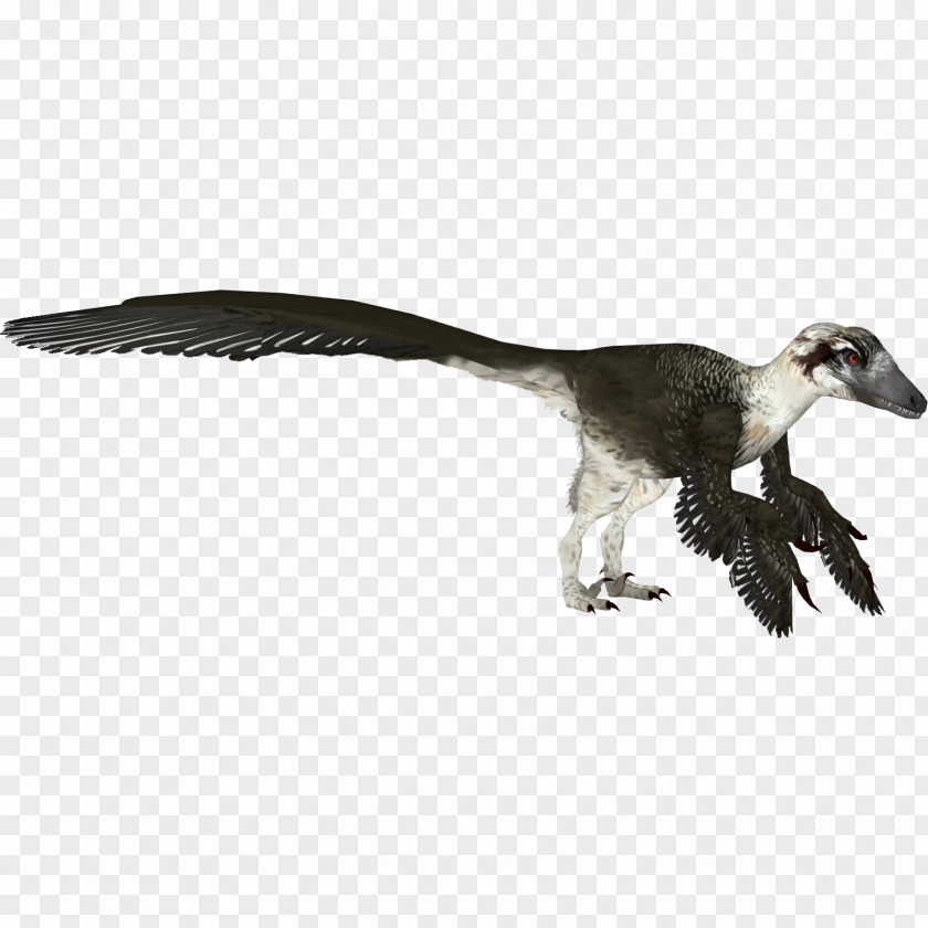 Jurassic Park Zoo Tycoon 2 Velociraptor Dakotaraptor Utahraptor PNG